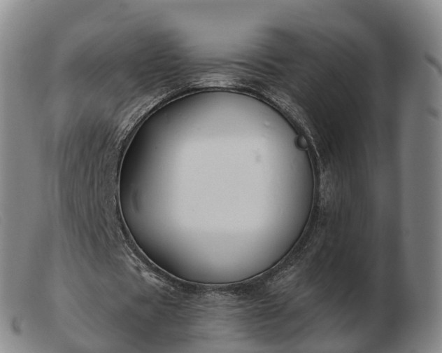 X0000103440529200809191727