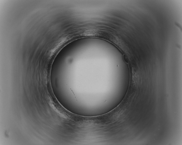 X0000103440530200809191727
