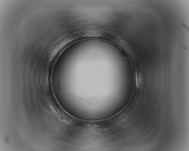 X0000103440531200809191727