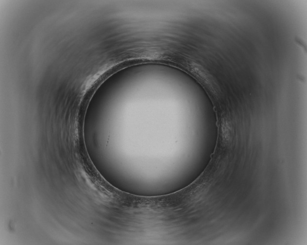X0000103440532200809191727