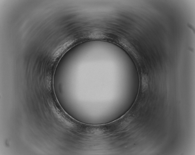 X0000103440533200809191727