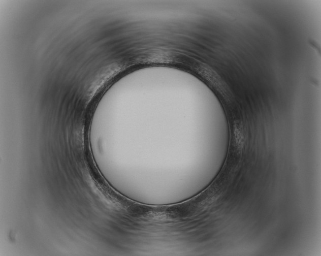 X0000103440534200809191727