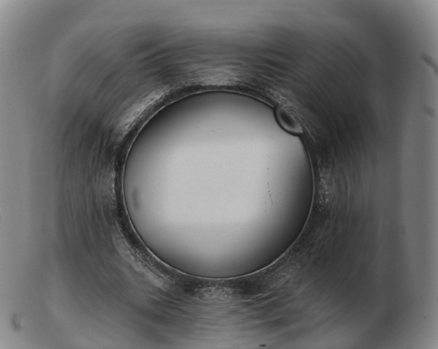X0000103440535200809191727
