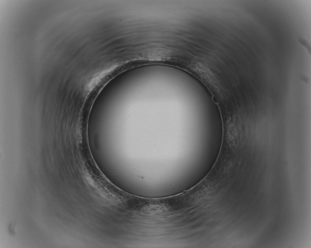 X0000103440536200809191727
