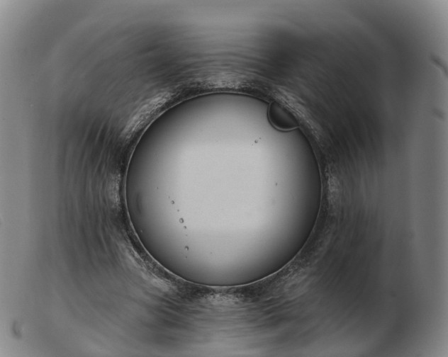X0000103440537200809191727