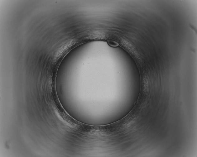 X0000103440538200809191727