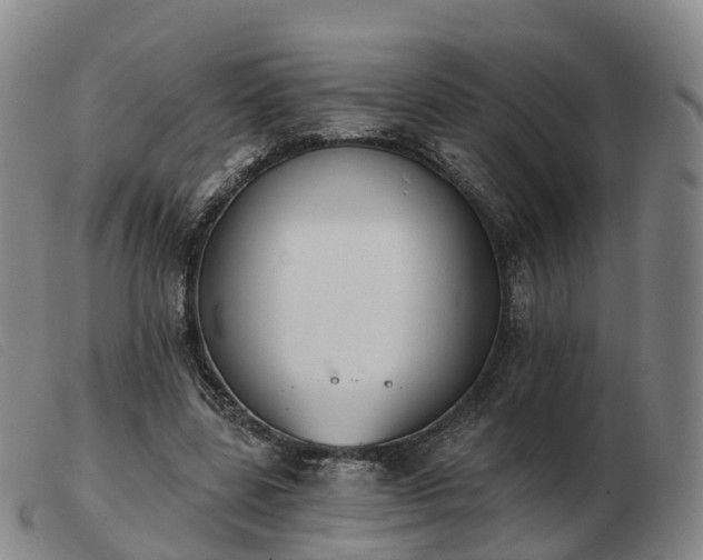 X0000103440539200809191727
