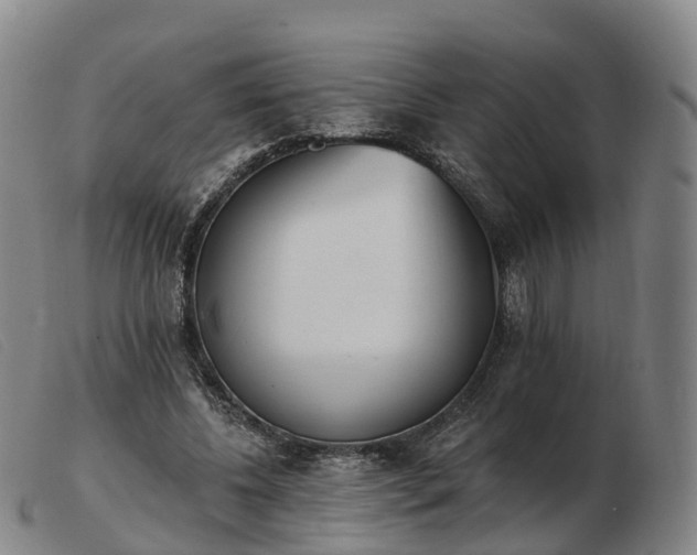 X0000103440540200809191727