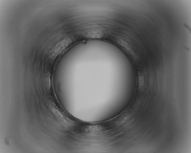 X0000103440541200809191727