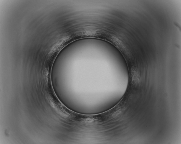 X0000103440542200809191727