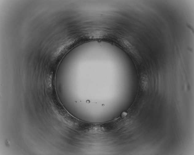 X0000103440543200809191727