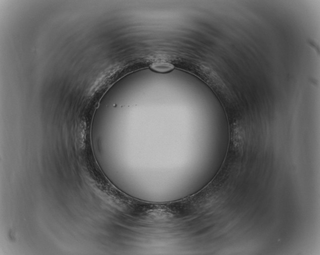 X0000103440544200809191727