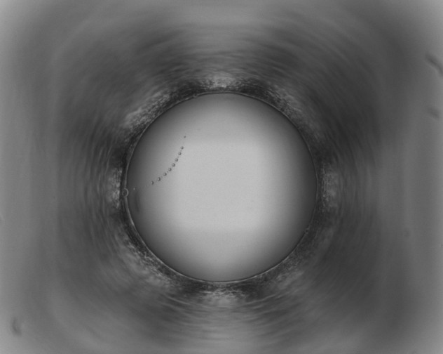 X0000103440545200809191727
