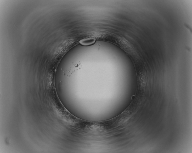 X0000103440546200809191727