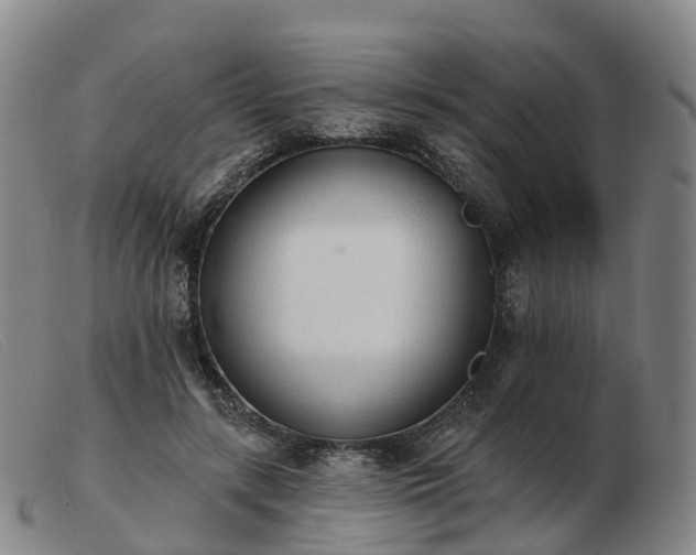 X0000103440547200809191727