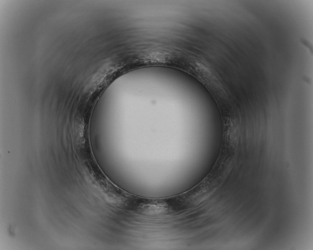 X0000103440548200809191727
