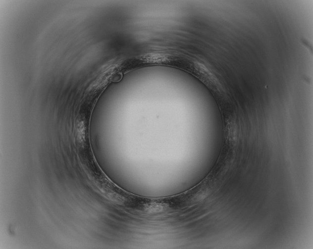 X0000103440549200809191727
