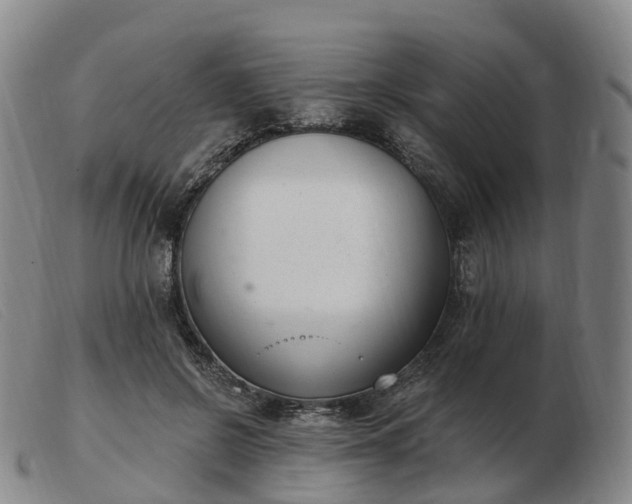 X0000103440550200809191727