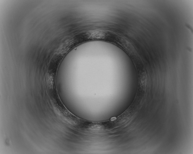 X0000103440551200809191727