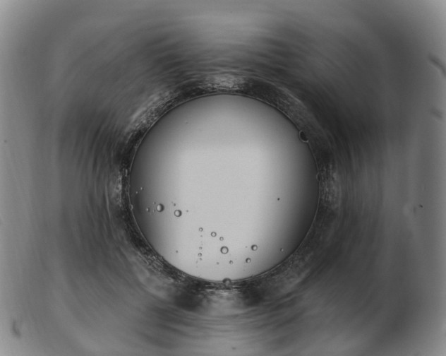 X0000103440552200809191727