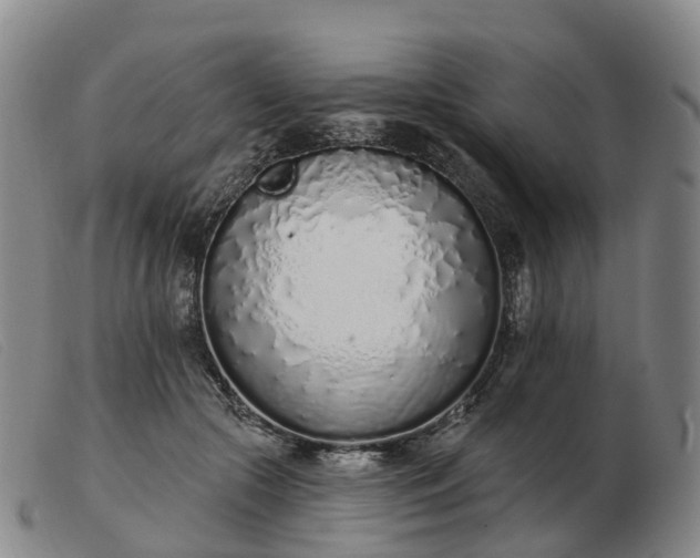 X0000103440553200809191727