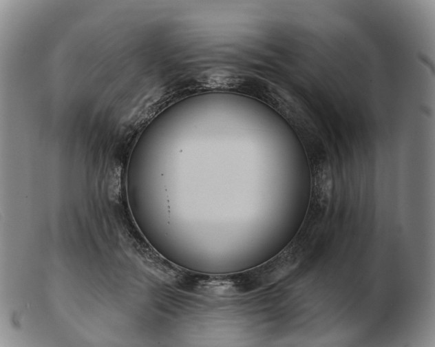 X0000103440554200809191727