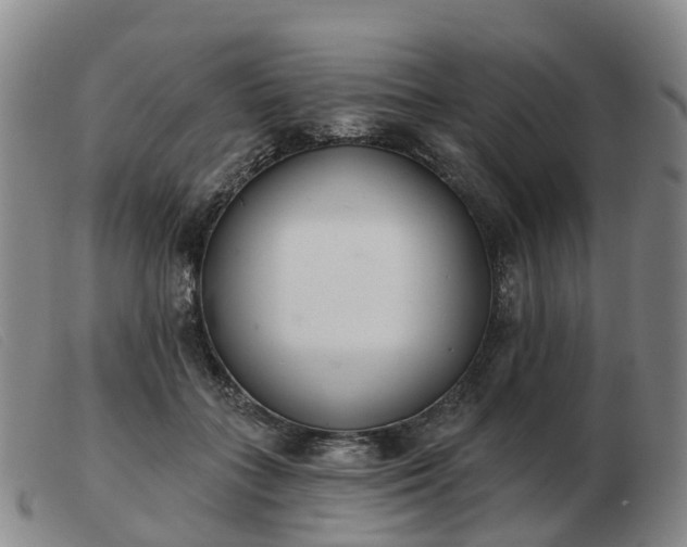 X0000103440555200809191727