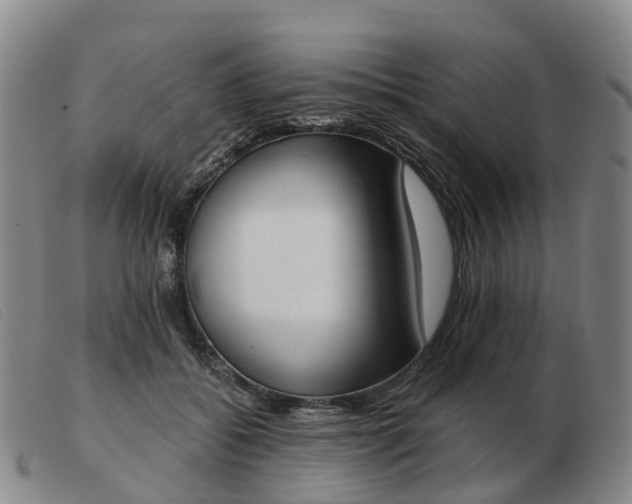 X0000103440556200809191727