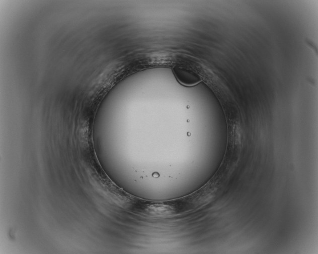X0000103440557200809191727