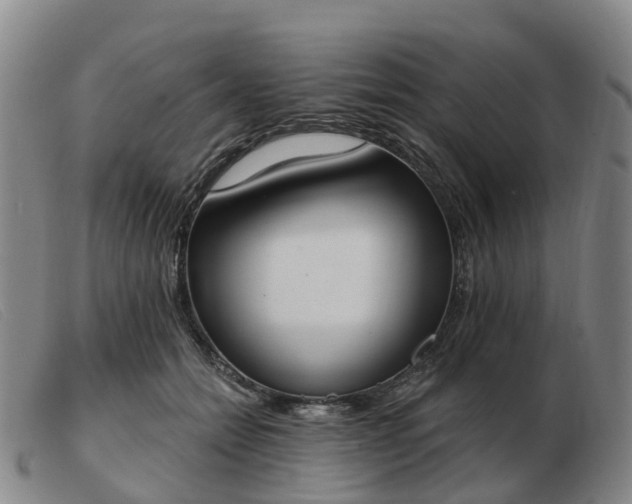 X0000103440558200809191727