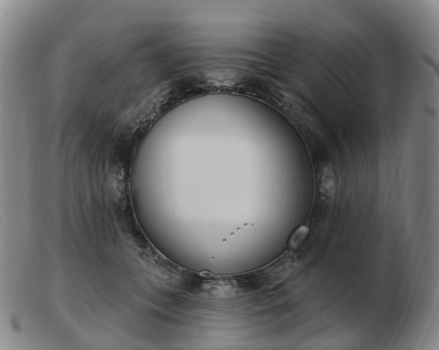 X0000103440559200809191727