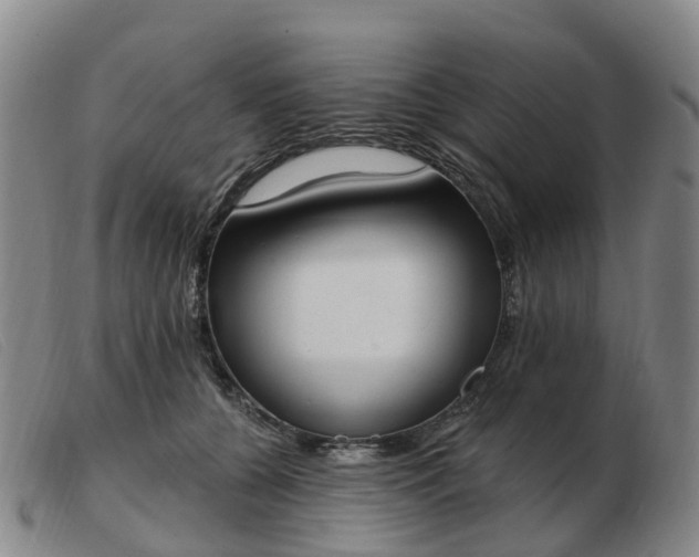 X0000103440560200809191727
