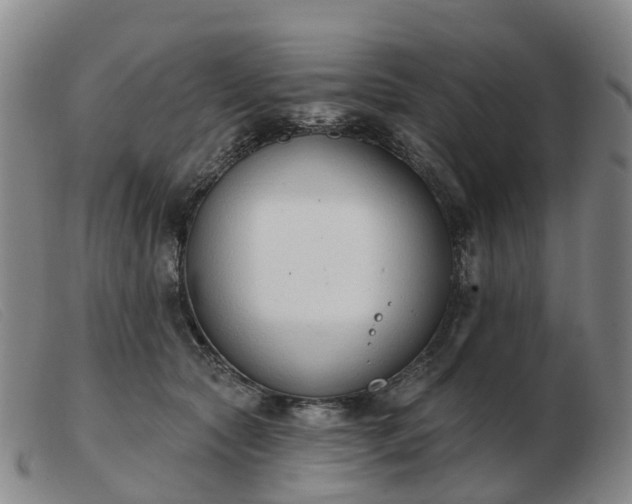 X0000103440561200809191727
