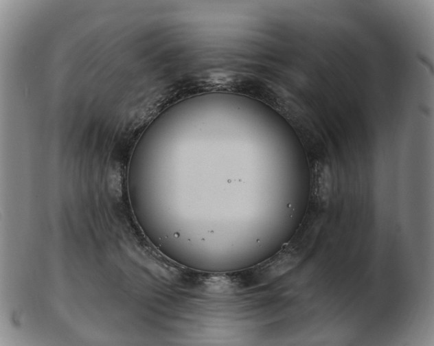 X0000103440562200809191727