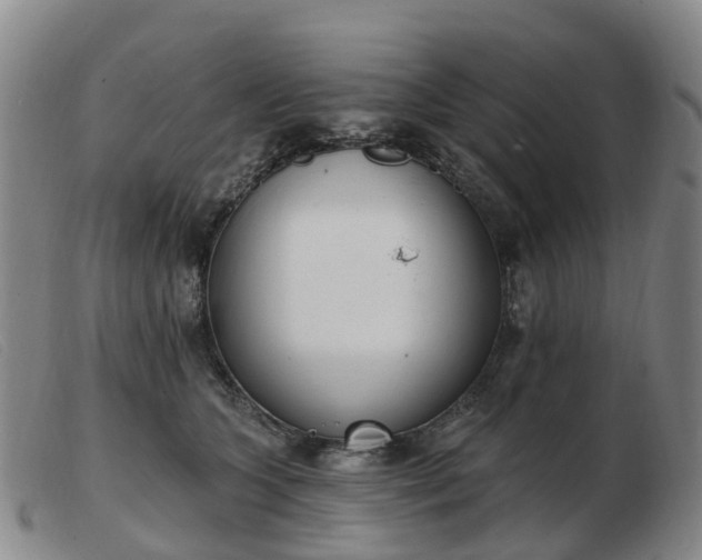 X0000103440563200809191727
