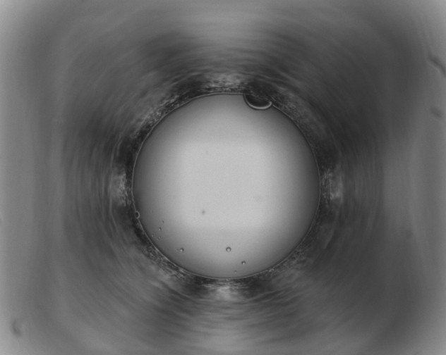X0000103440564200809191727