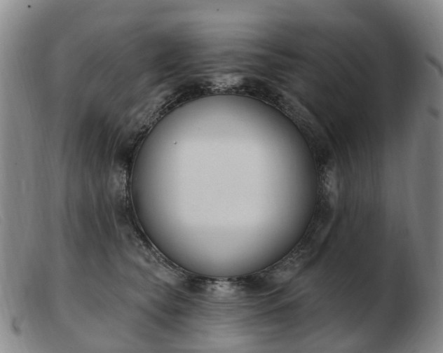 X0000103440565200809191727