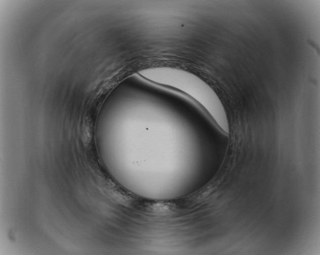 X0000103440566200809191727
