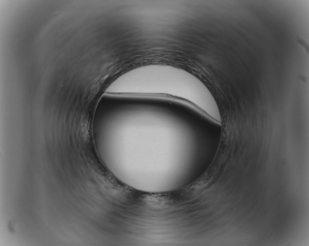 X0000103440568200809191727