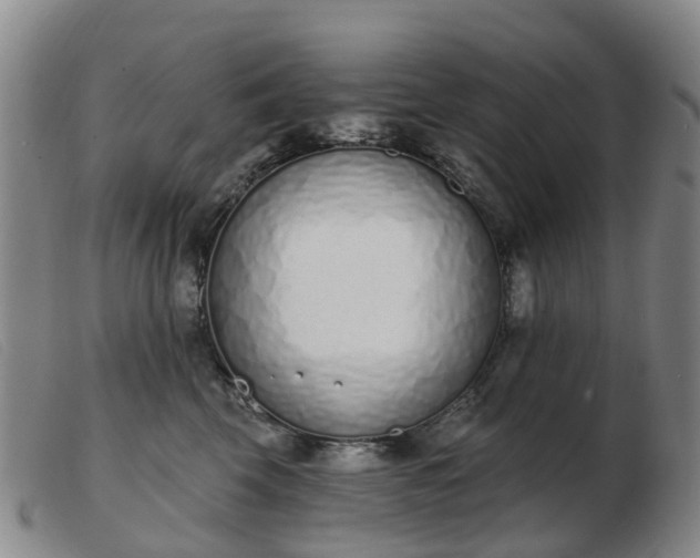 X0000103440569200809191727