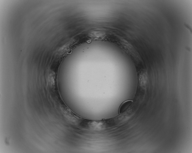 X0000103440570200809191727