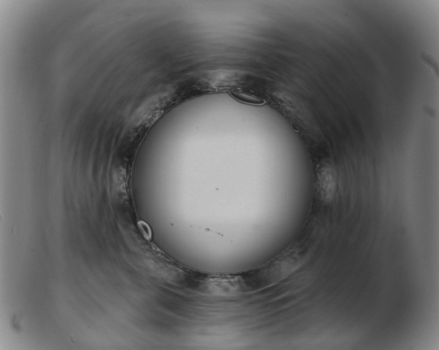 X0000103440571200809191727