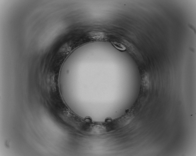 X0000103440572200809191727