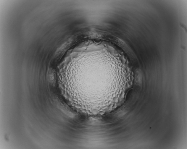 X0000103440573200809191727