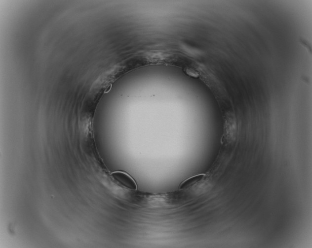 X0000103440574200809191727