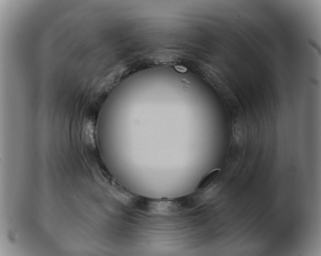 X0000103440575200809191727