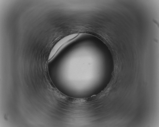 X0000103440576200809191727