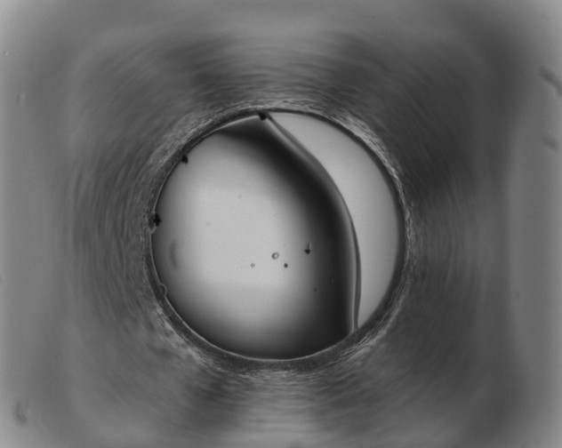 X0000103440577200809191727