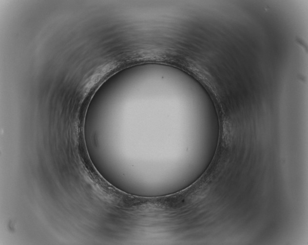 X0000103440578200809191727