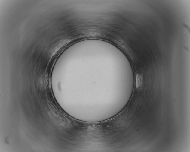 X0000103440579200809191727